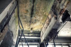 Asbestos and Lead Testing During Mold Inspection in Bloomington, CA